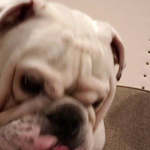 Meet your Posher, Fredrick